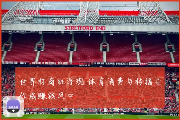 世界杯商机浮现 体育消费与转播合作成赚钱风口