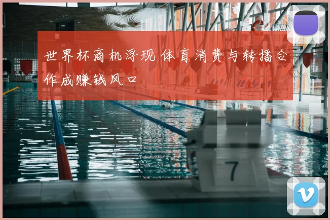 世界杯商机浮现 体育消费与转播合作成赚钱风口
