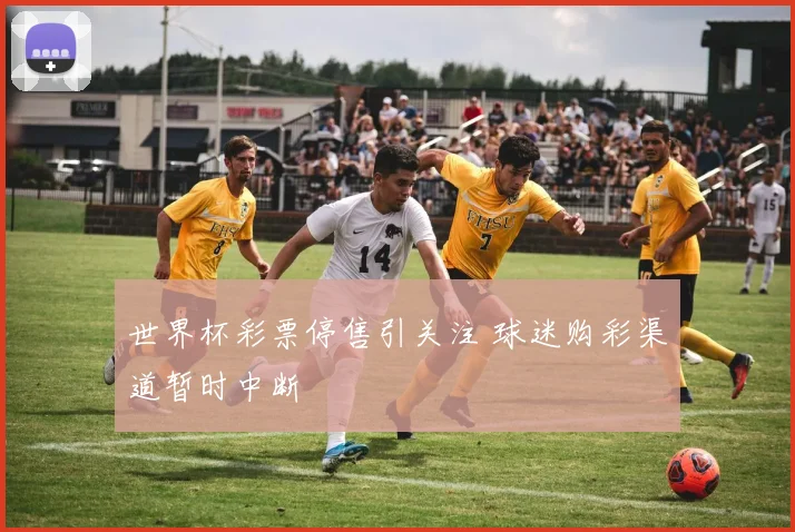 世界杯彩票停售引关注 球迷购彩渠道暂时中断
