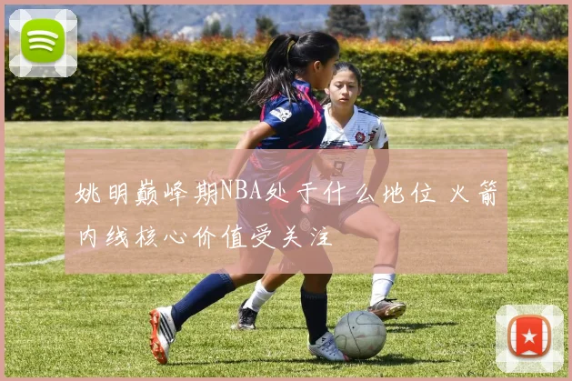 姚明巅峰期NBA处于什么地位 火箭内线核心价值受关注